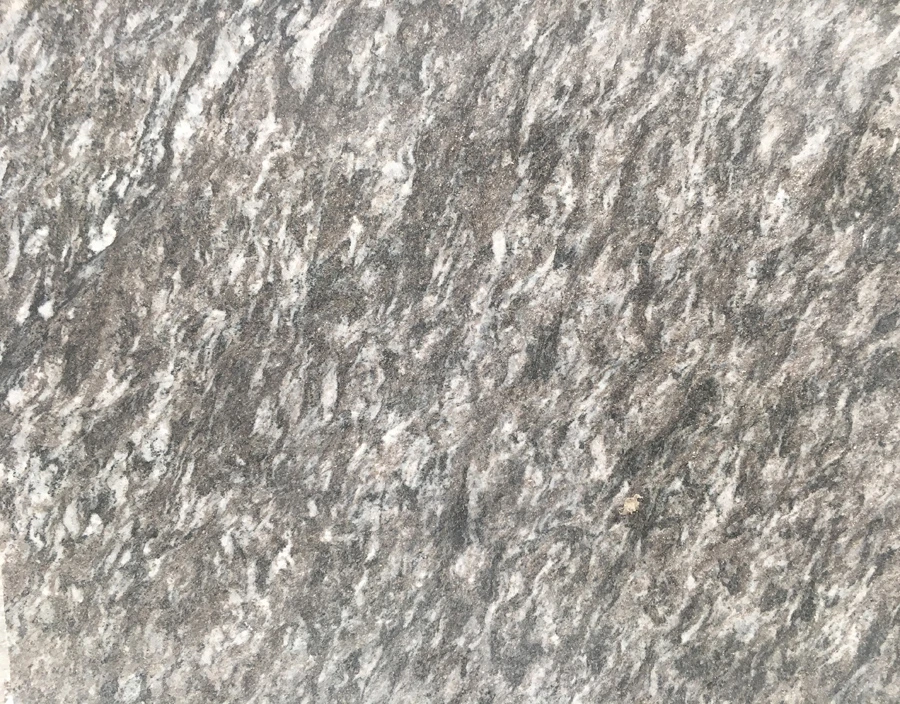 Serizzo Antigorio Granite Tile