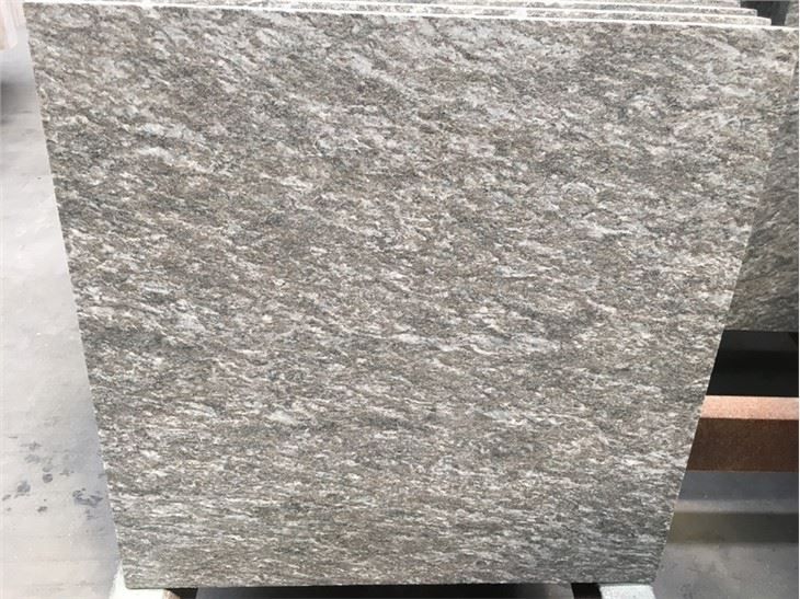 Serizzo Antigorio  Granite Project Tile